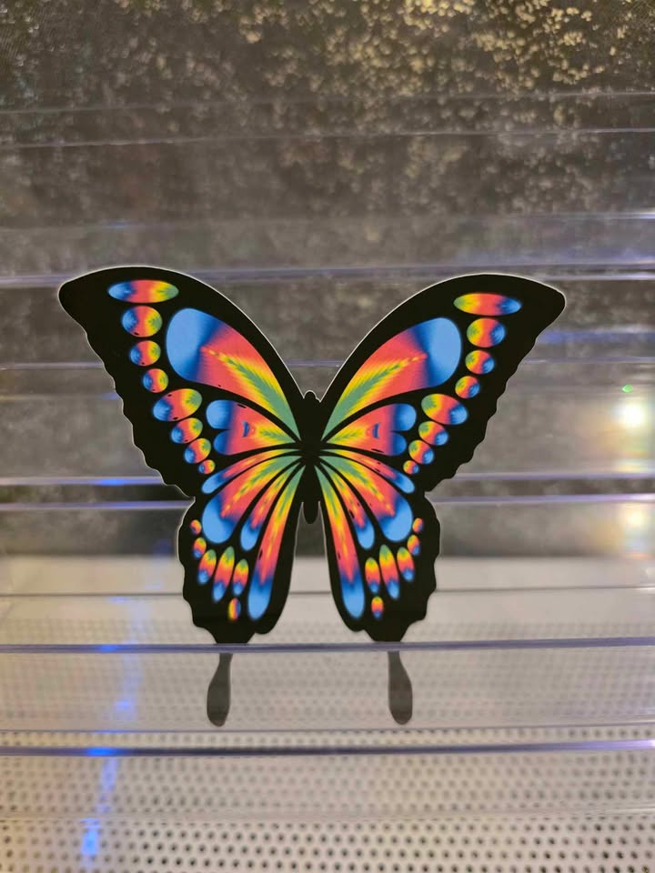 Vinyl Stickers